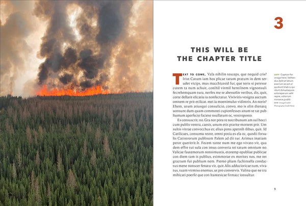 The Summer Canada Burned