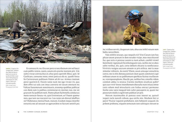 The Summer Canada Burned