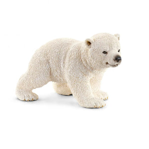 Polar Bear Cub