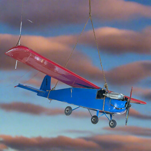 Large Radio Controlled Airplane