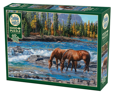 Horses On the Rocks Puzzle 1000 Piece