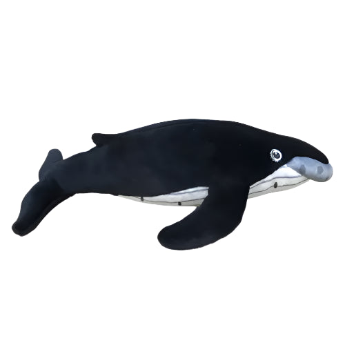 Humpback Whale 10 inch