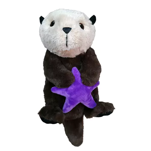Otter with Starfish 14 inch