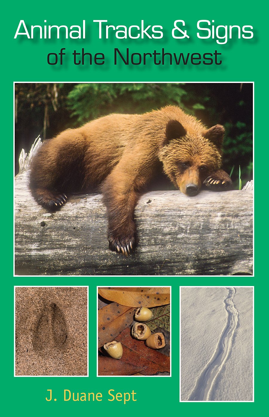 Animal Tracks & Signs of the Northwest
