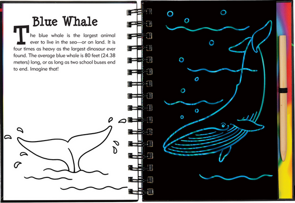 Under the Sea Scratch and Sketch
