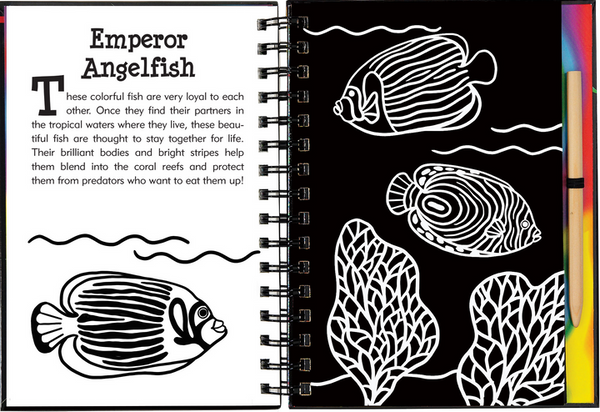 Under the Sea Scratch and Sketch