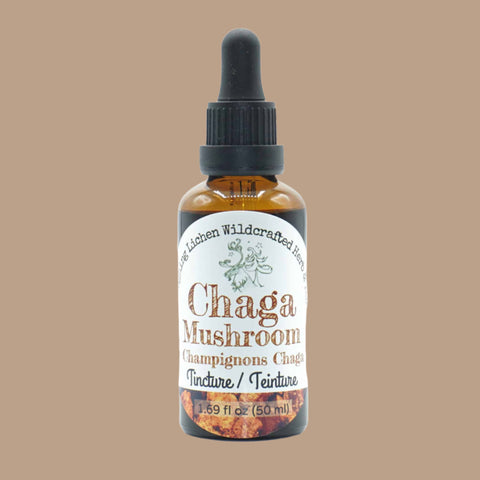 Laughing Lichen Chaga Tincture