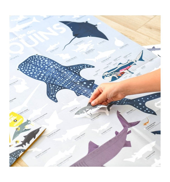 Poppik Sharks Discovery Poster