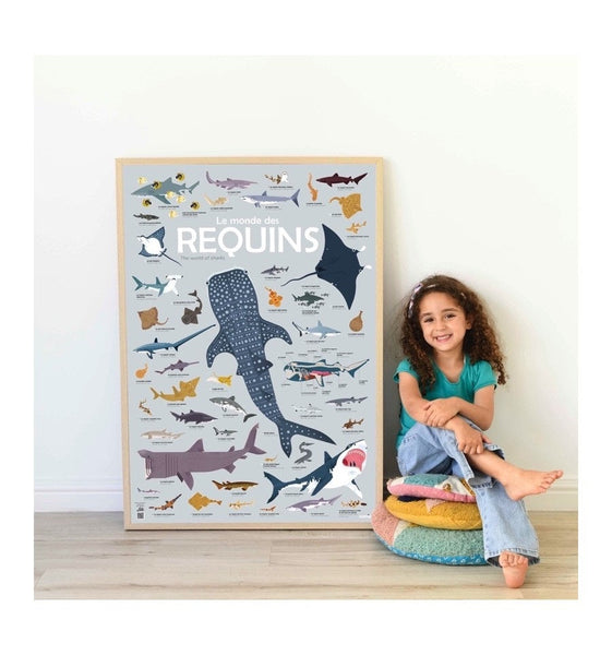 Poppik Sharks Discovery Poster