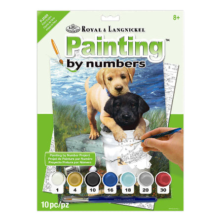 Paint By Numbers "Fishin' Buddies"