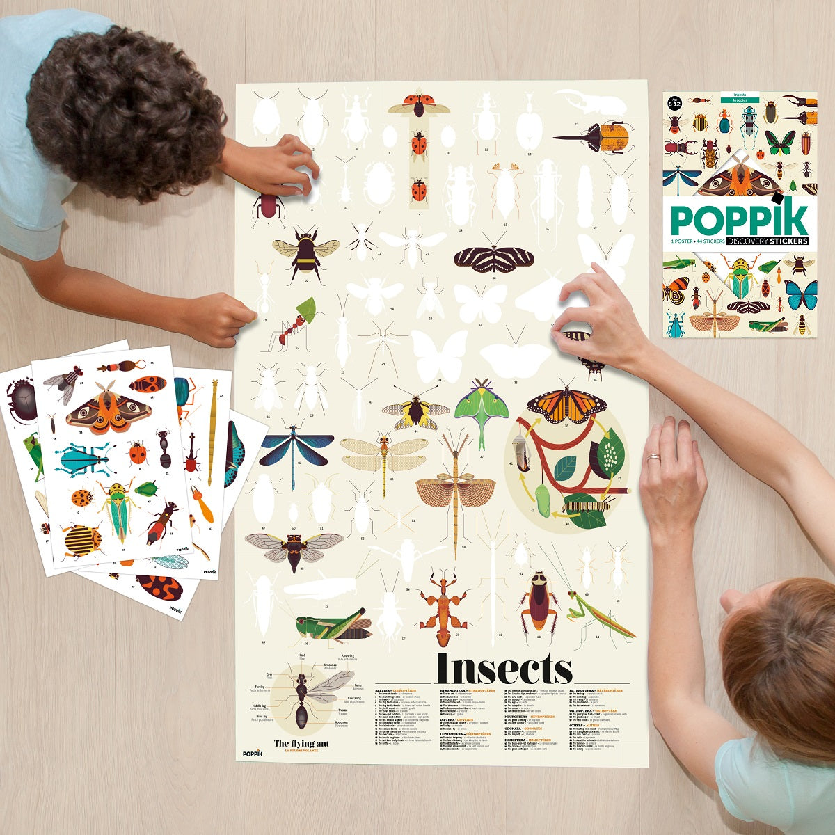 Poppik Insects Discovery Poster – Seahorse Trading Company