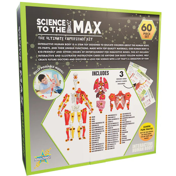 Interactive Human Body Science Kit