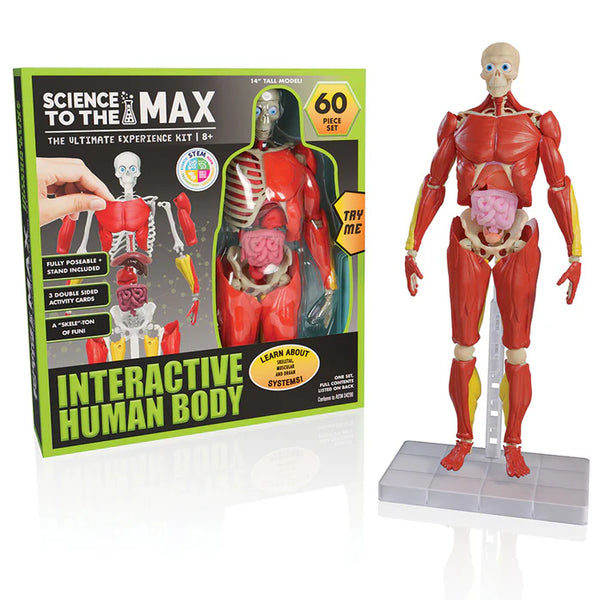 Interactive Human Body Science Kit