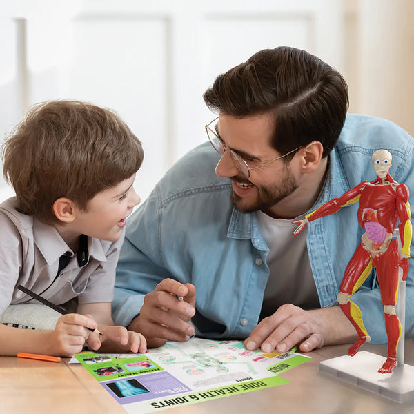 Interactive Human Body Science Kit