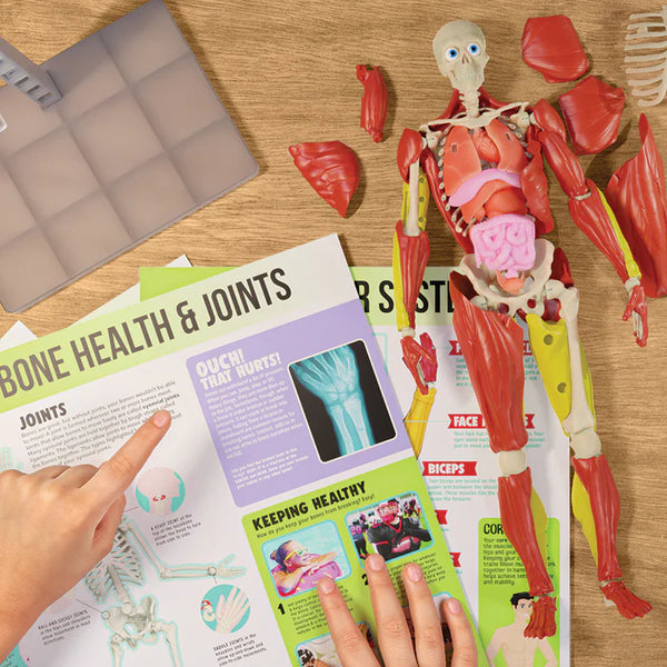 Interactive Human Body Science Kit