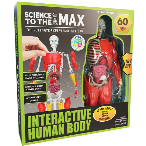 Interactive Human Body Science Kit