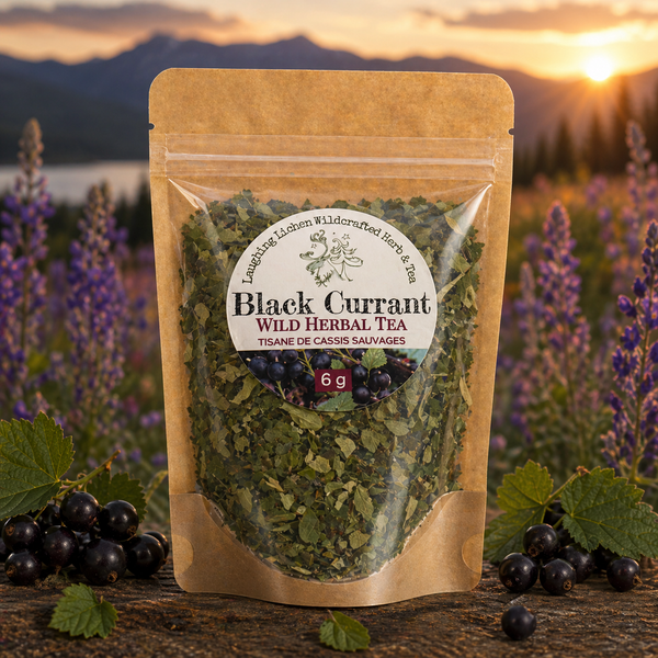 Wild Black Currant Herbal Tea