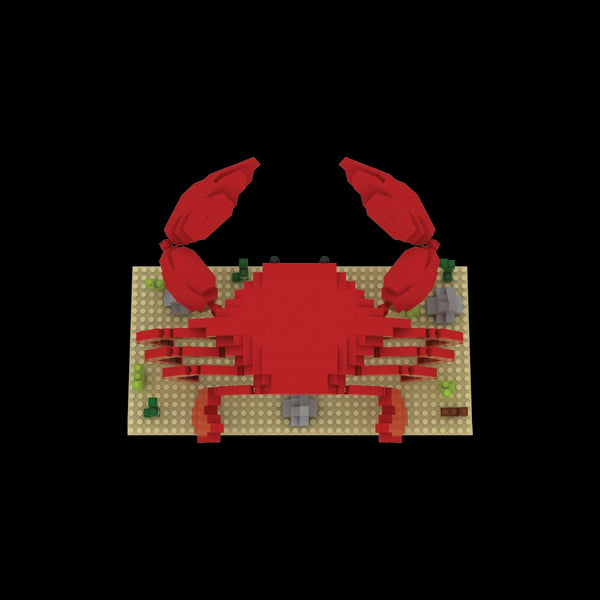 Mini Building Blocks - Crab