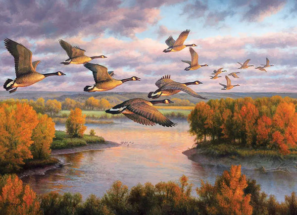 Migration Puzzle (1000 Piece)