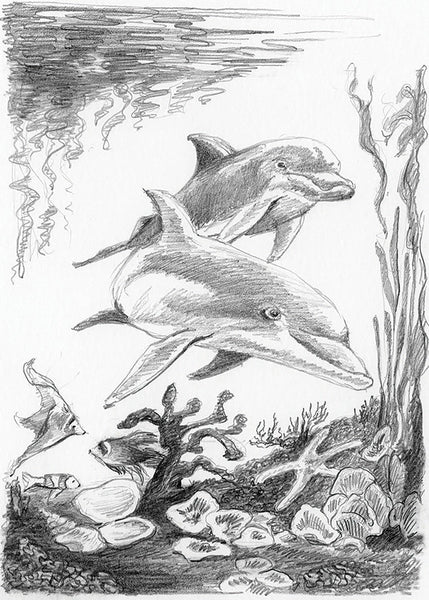 Sketching Made Easy (Dolphins)