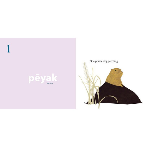 We All Count: A Book of Cree Numbers (Board Book)