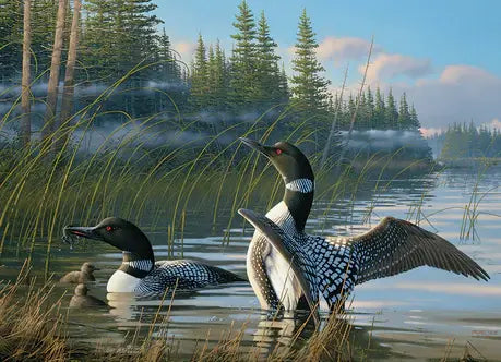 Common Loons Puzzle (1000 Piece)