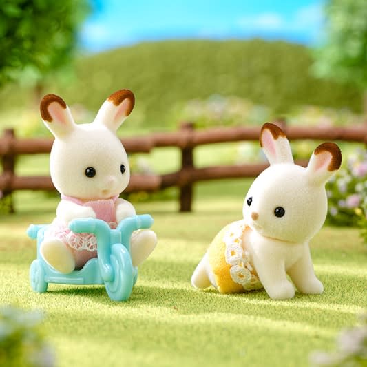 Chocolate Rabbit Twins