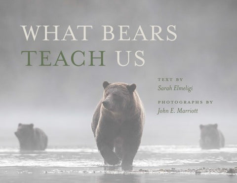 What Bears Teach Us