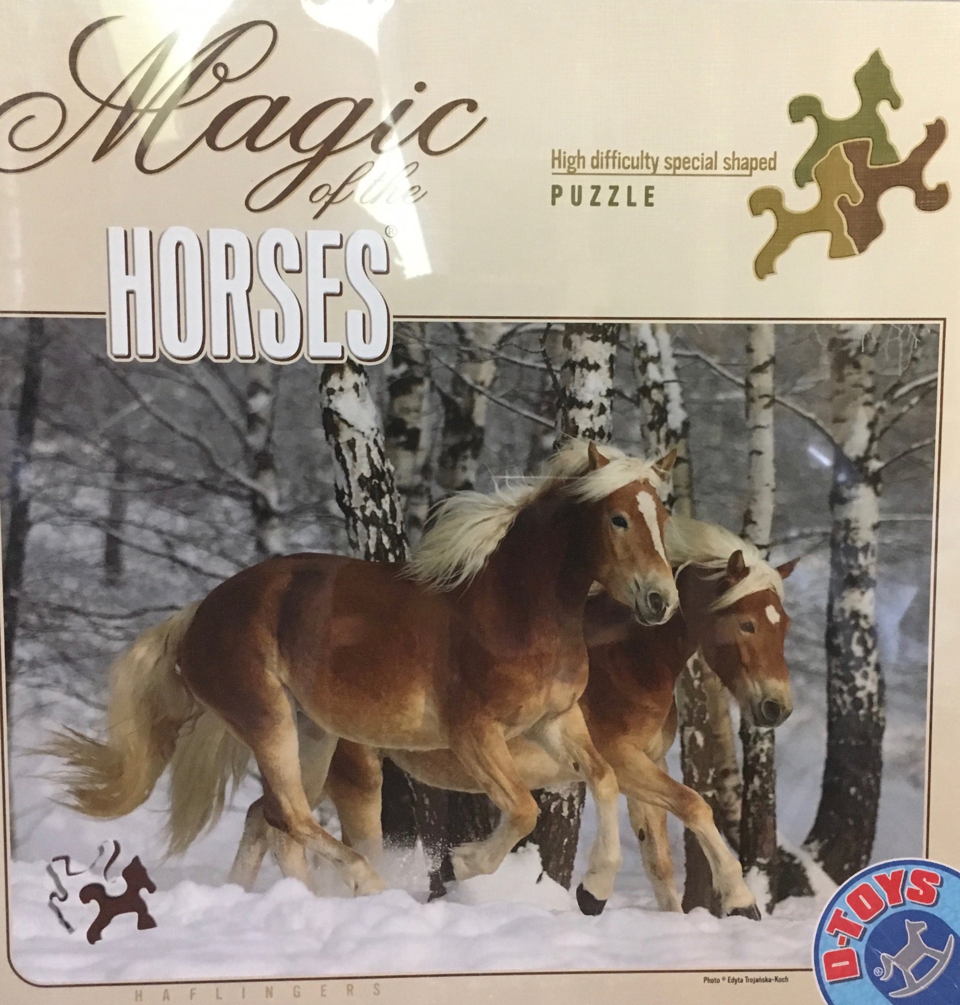 Magic of The Horses Puzzle