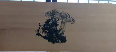 Cedar Print Mushroom