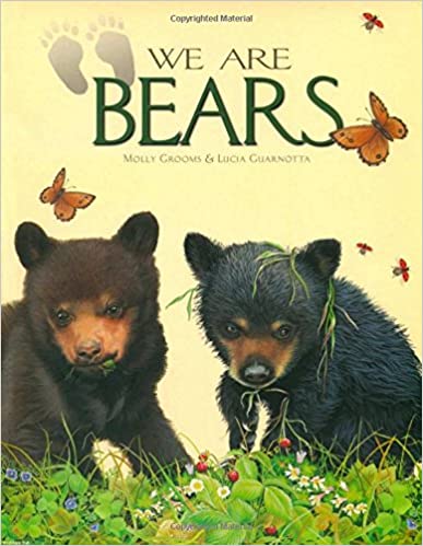 We Are Bears - Paperback