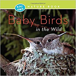 Baby Birds In The Wild - Paperback