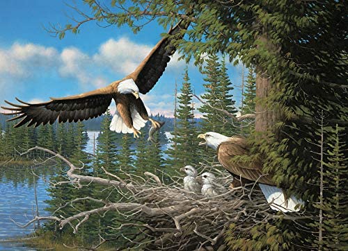 Nesting Eagles Puzzle